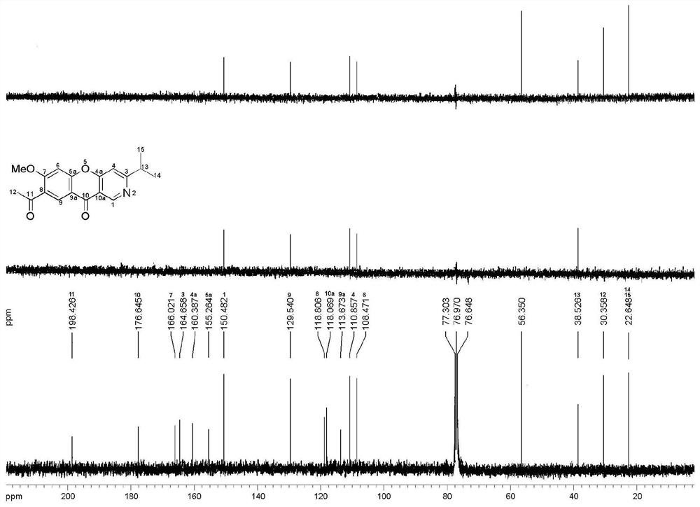 Compound with anti-rotavirus activity in Thalictrum scabrifolium Franch. var. leve Franch, and preparation method thereof