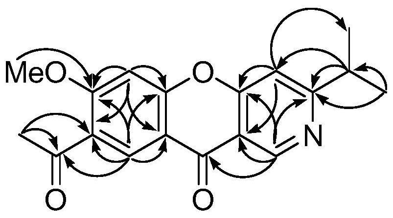 Compound with anti-rotavirus activity in Thalictrum scabrifolium Franch. var. leve Franch, and preparation method thereof