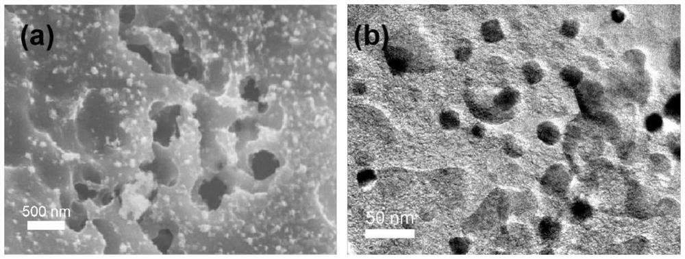 Universal method for preparing metal nitrogen-carbon catalyst material and application of metal nitrogen-carbon catalyst material