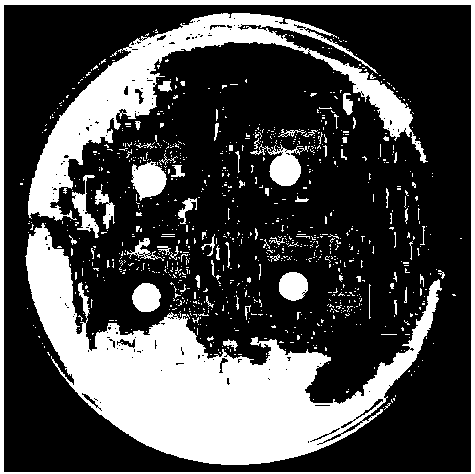 A preparation method of silver-containing carbon dots and the application of the carbon dots in the preparation of antibacterial agents