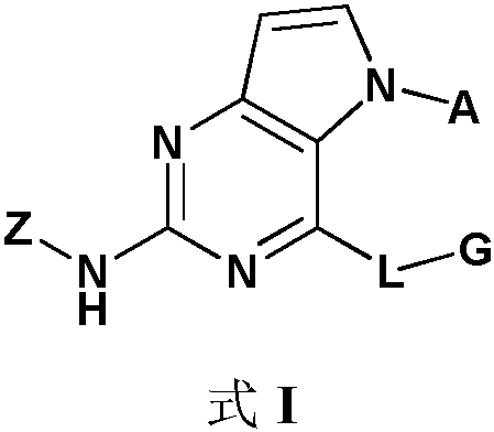 irak4 inhibitor and its application