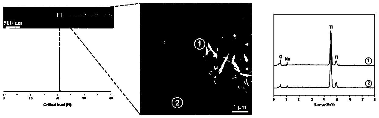 Preparation process of single/multi-element doped sodium titanate nanorod array coating