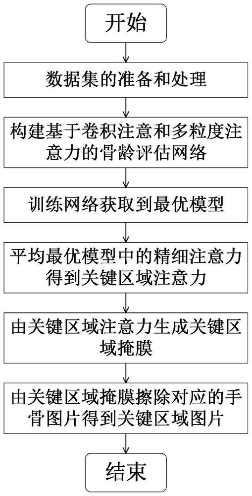 Hand bone key region acquisition method based on convolutional neural network and multi-granularity attention