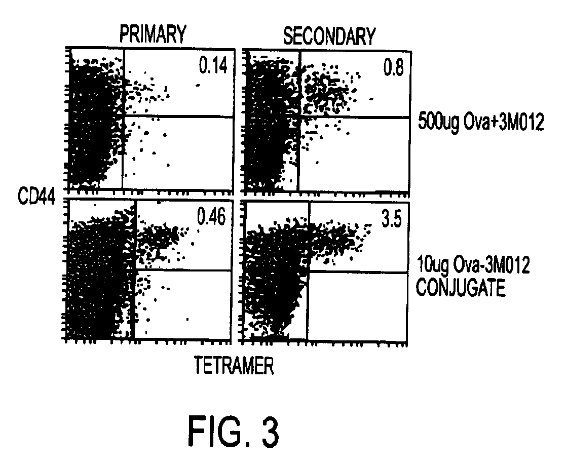 Tlr agonist (flagellin)/cd40 agonist/antigen protein and DNA conjugates and use thereof for inducing synergistic enhancement in immunity