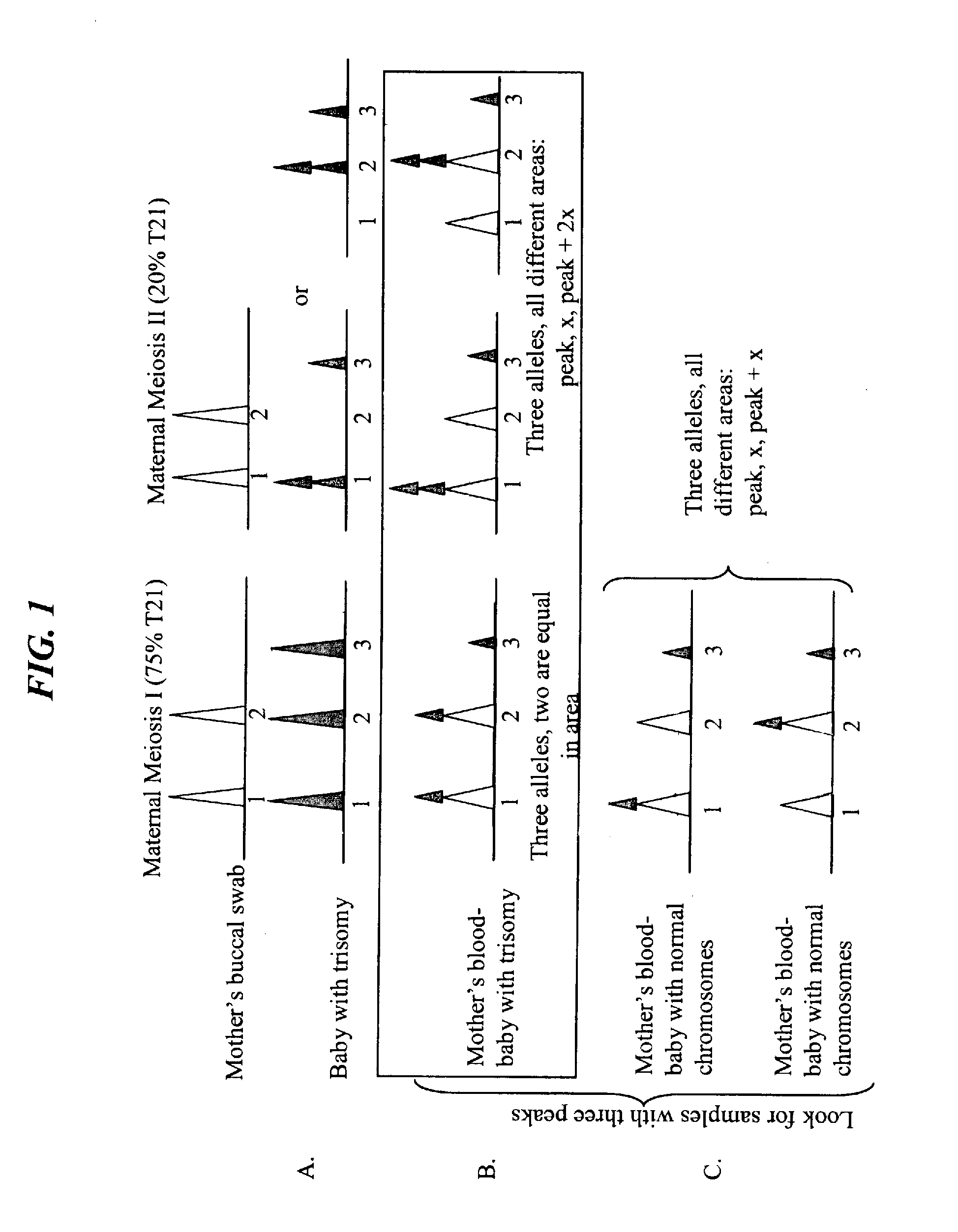 Detecting Genetic Abnormalities