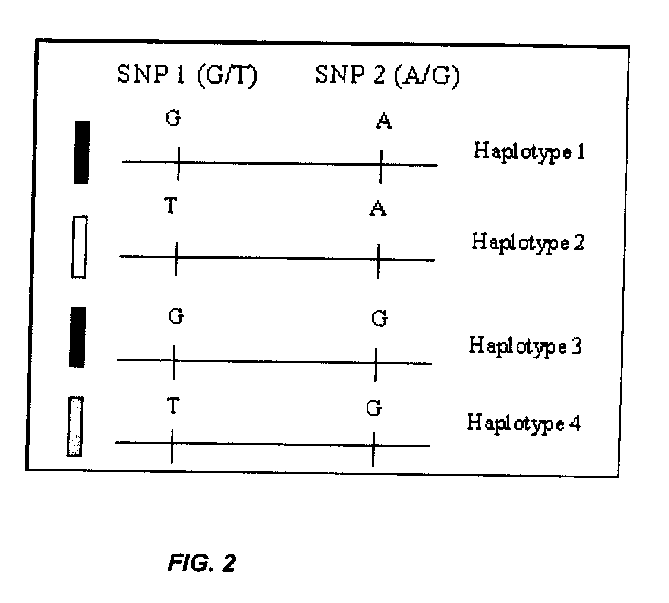 Detecting Genetic Abnormalities