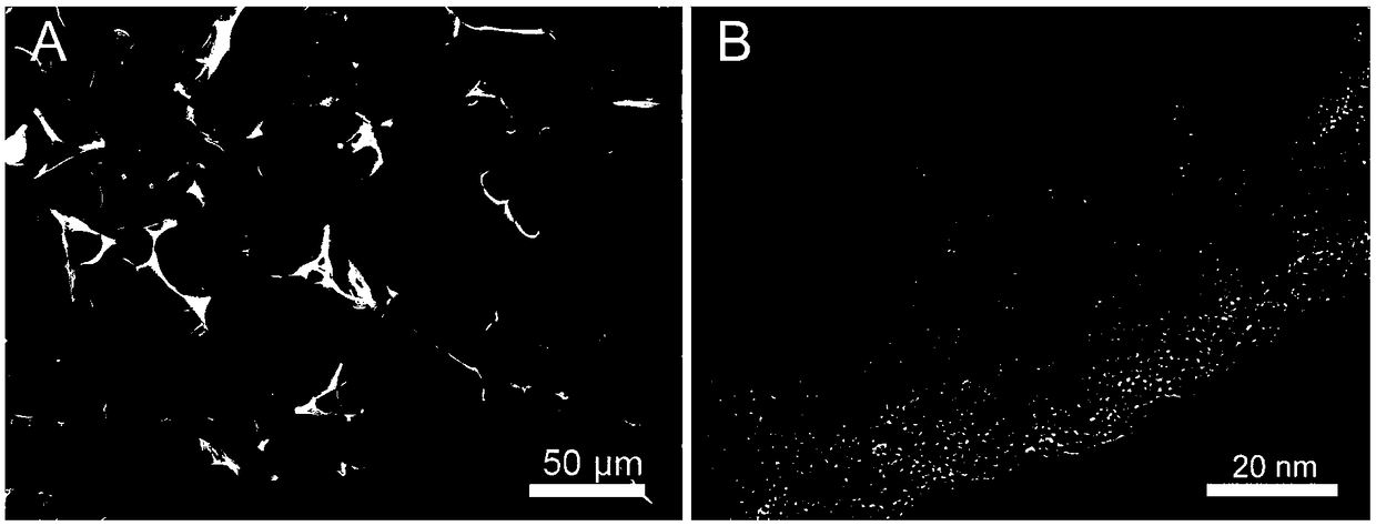 A method for preparing a high-performance nitrogen-doped porous carbon-supported PtNi alloy particle methanol fuel cell catalyst