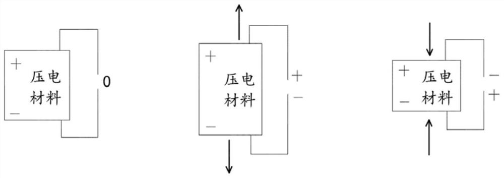 Ultrasonic piezoelectric motor, camera module and electronic equipment