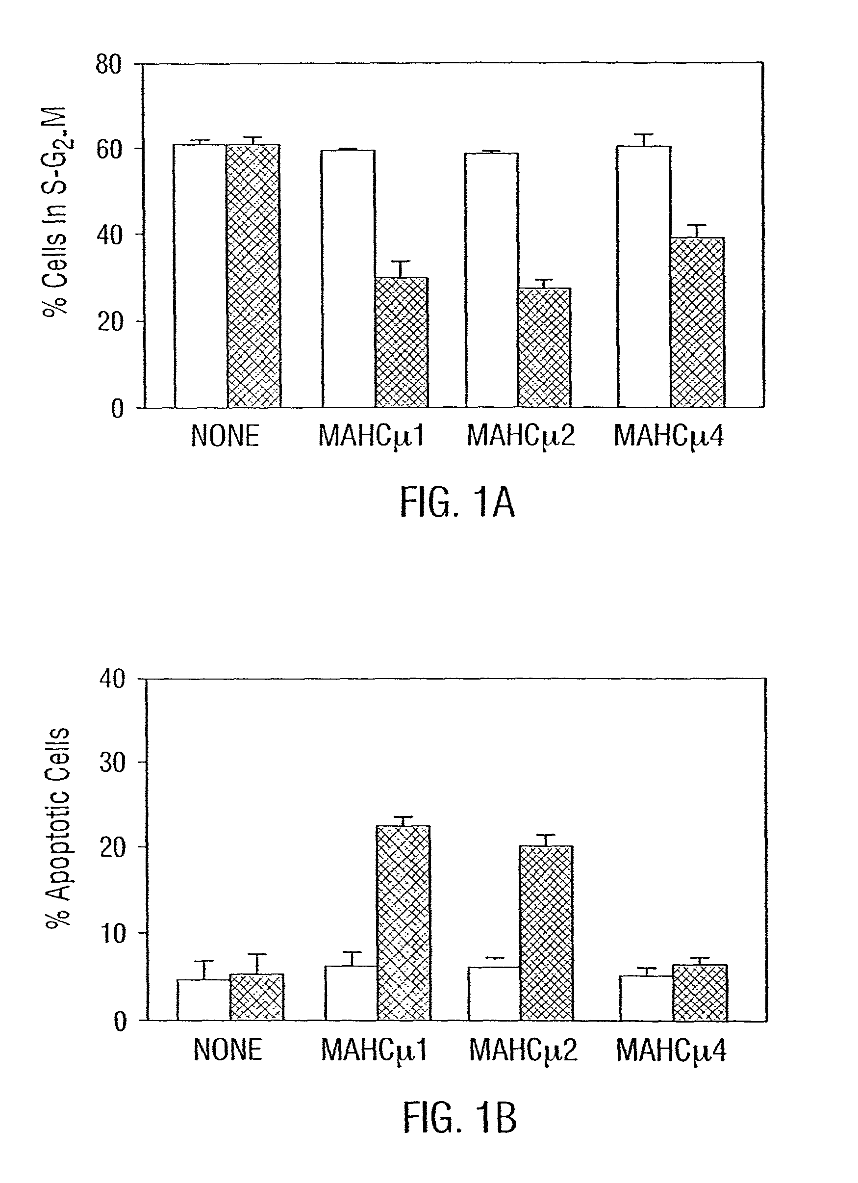 Compositions and methods for homoconjugates of antibodies which induce growth arrest of apoptosis of tumor cells