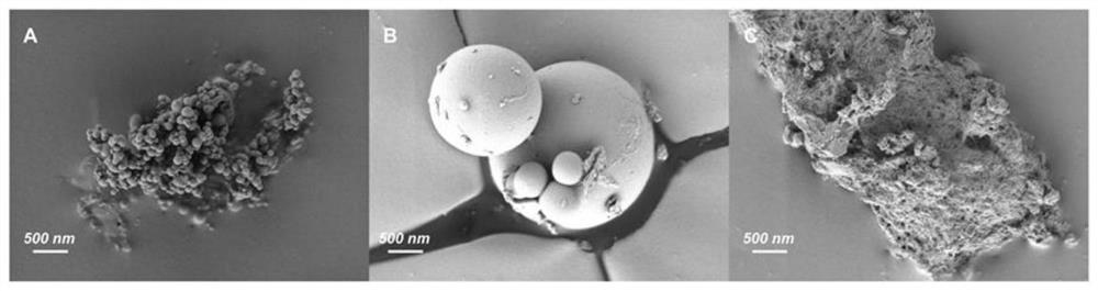 Cesium ion adsorbent as well as preparation method and application thereof