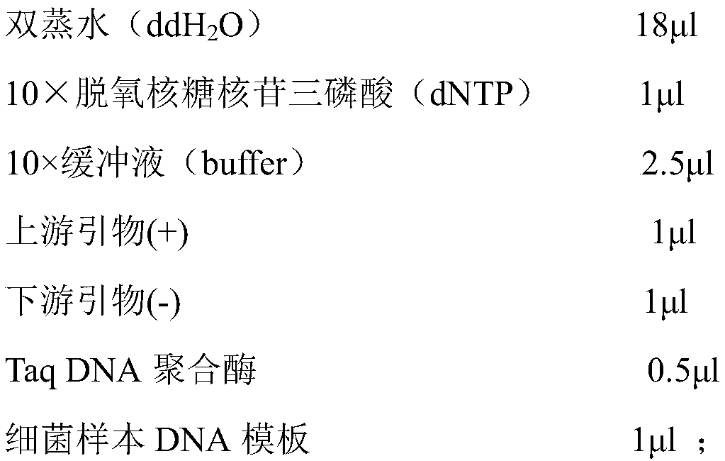 Method for realizing multi-site sequence molecular typing on haemophilus parasuis