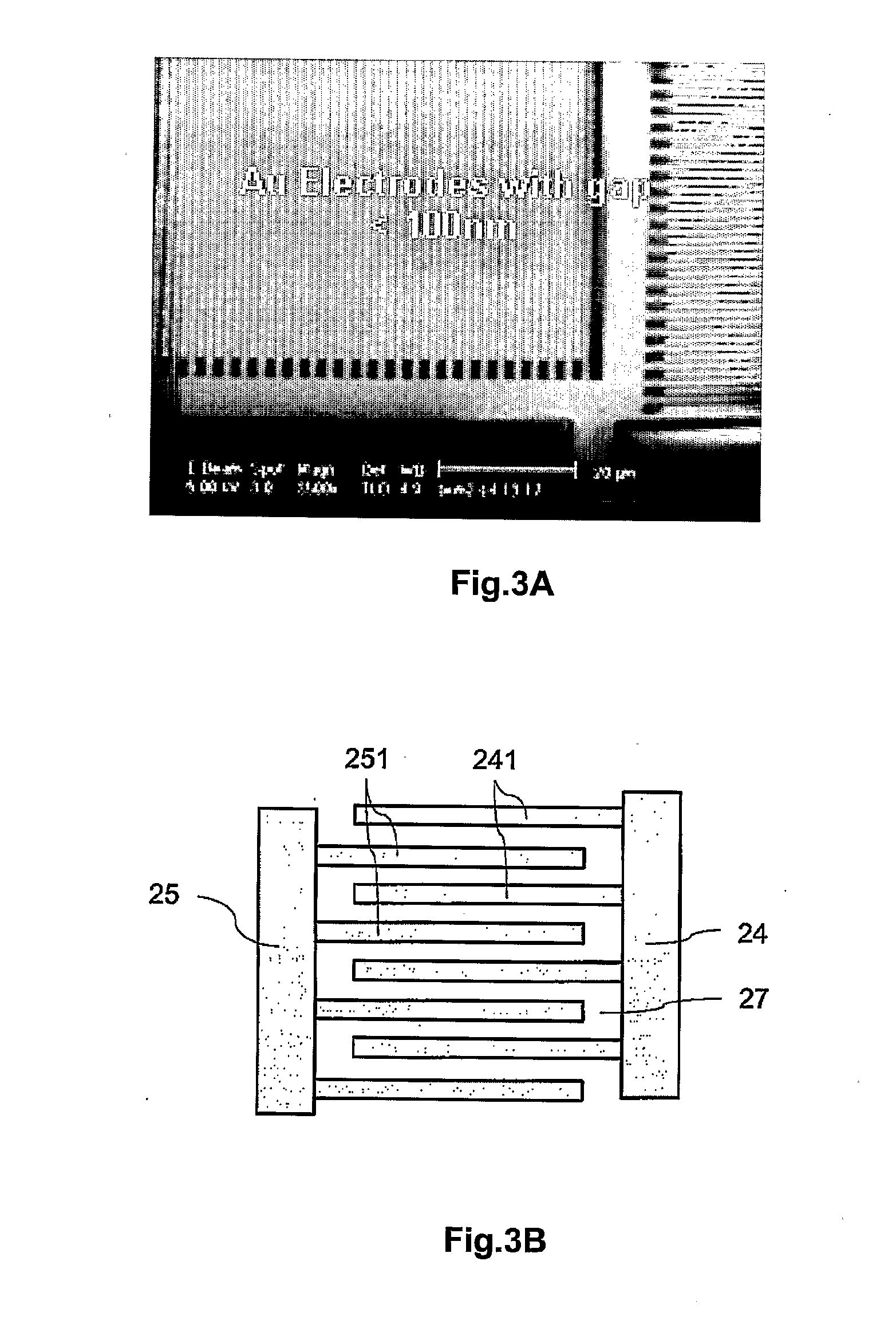 Biosensor cell and biosensor array