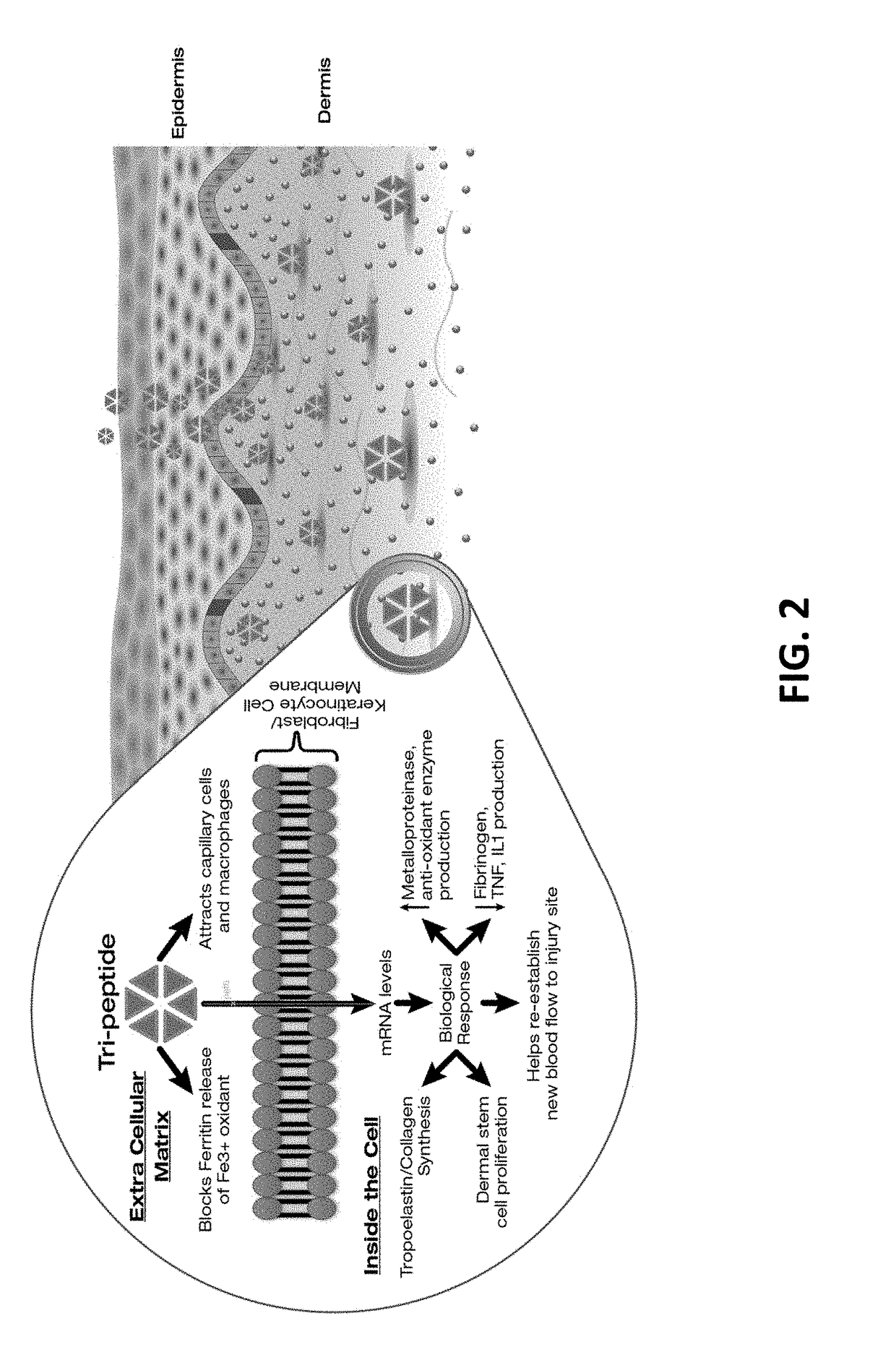 Compositions and methods for invasive and non-invasive procedural skincare