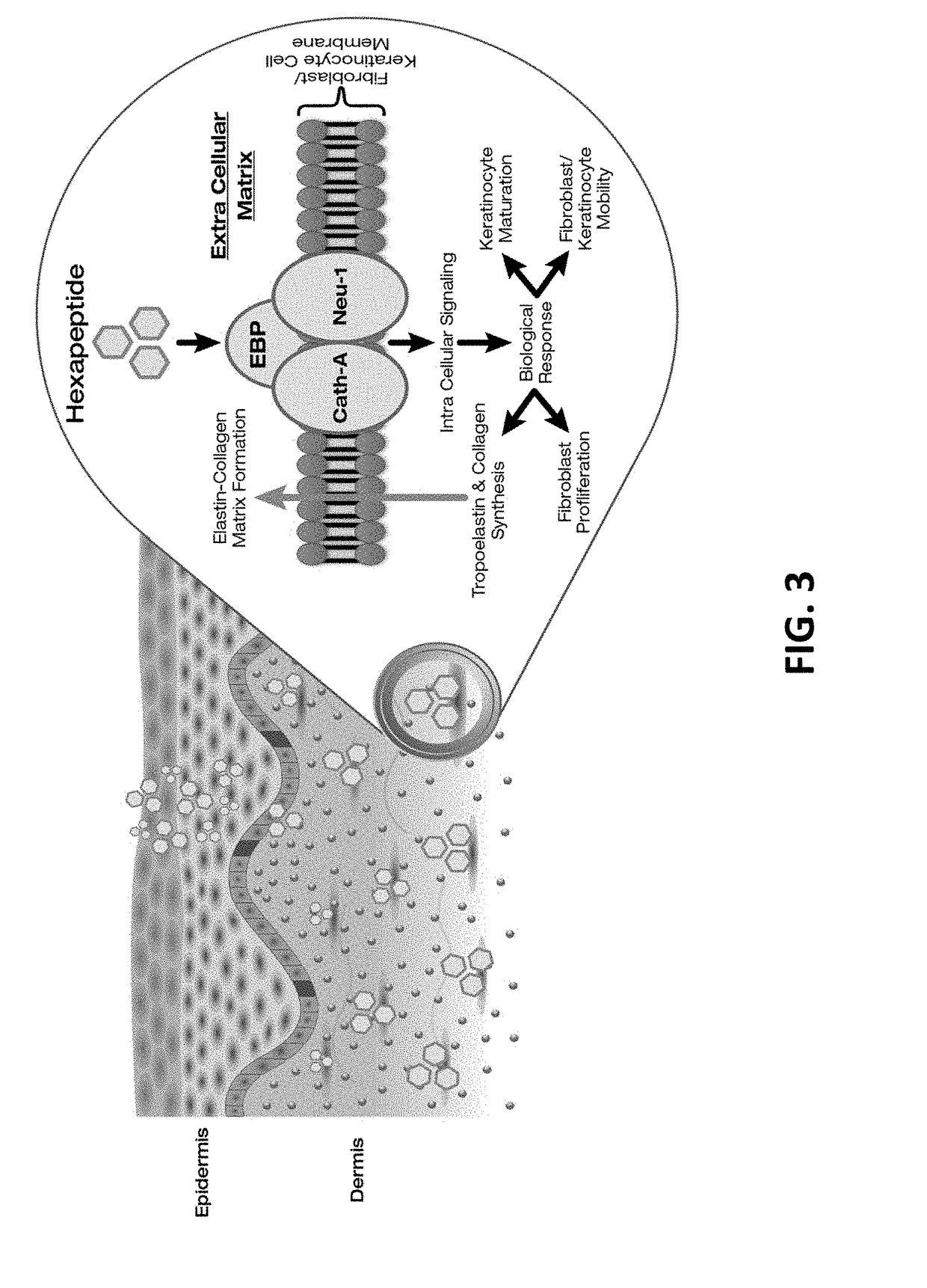 Compositions and methods for invasive and non-invasive procedural skincare