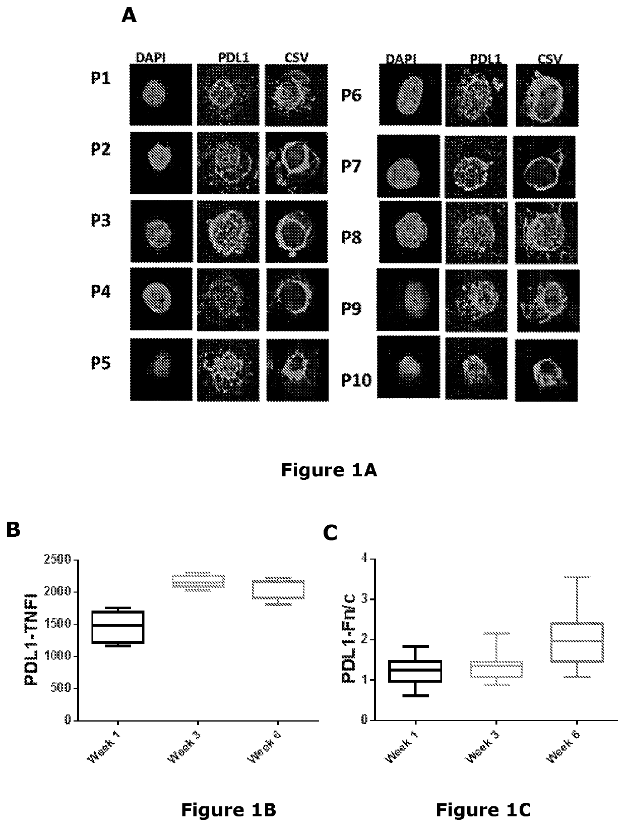 Proteinaceous molecules and uses therefor