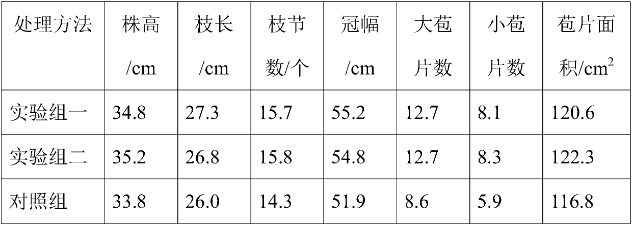 Special water-soluble fertilizer for Euphorbia pulcherrima, and applications thereof