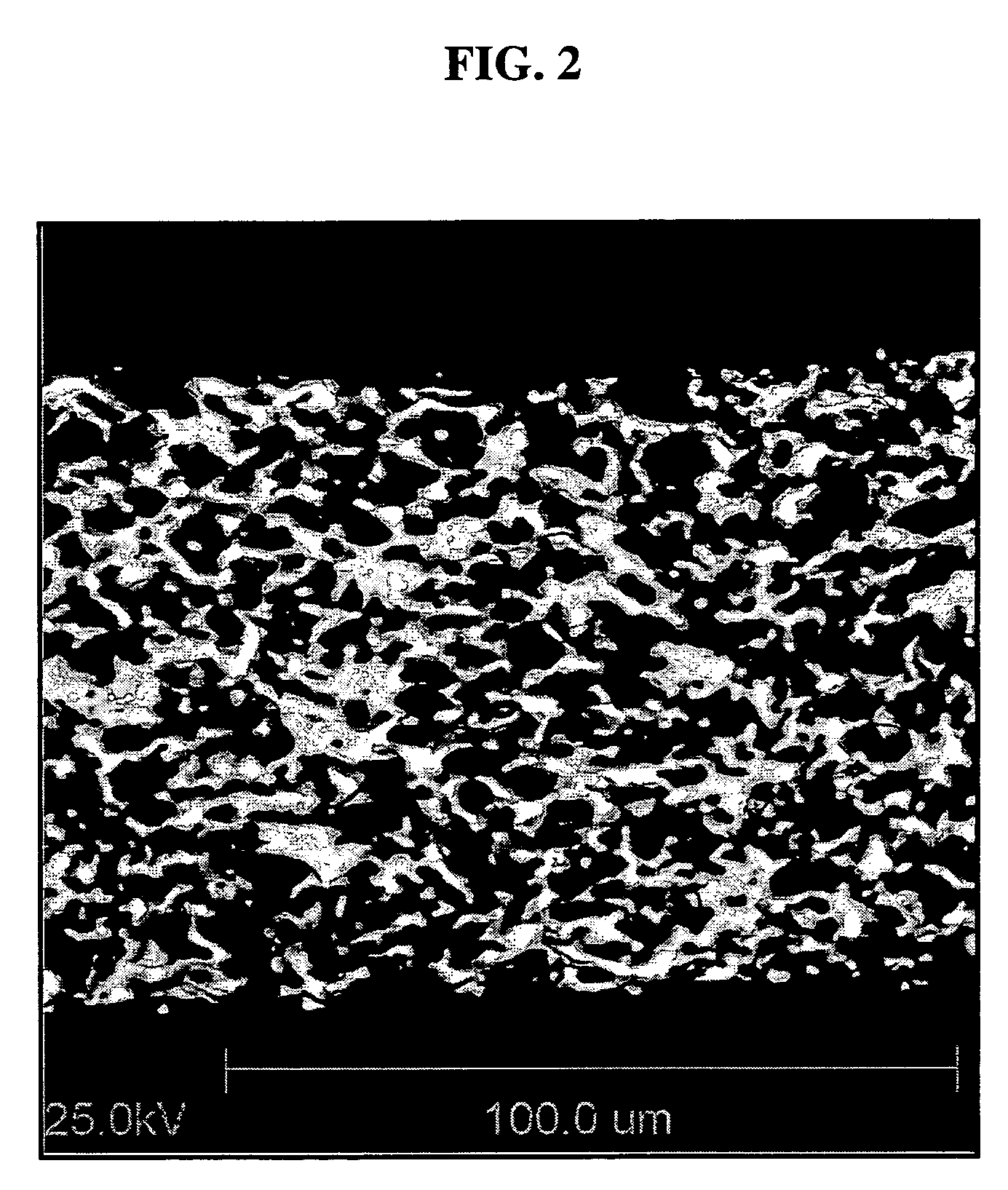 High porosity honeycomb and method