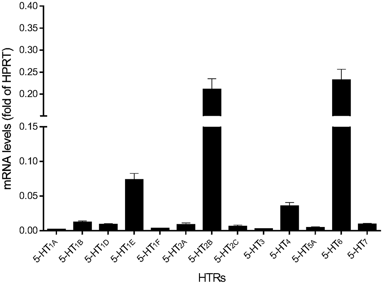 Applications of small-molecule activating agent and antagonist of serotonin receptor subtype 6 in preventing and treating alzheimer disease