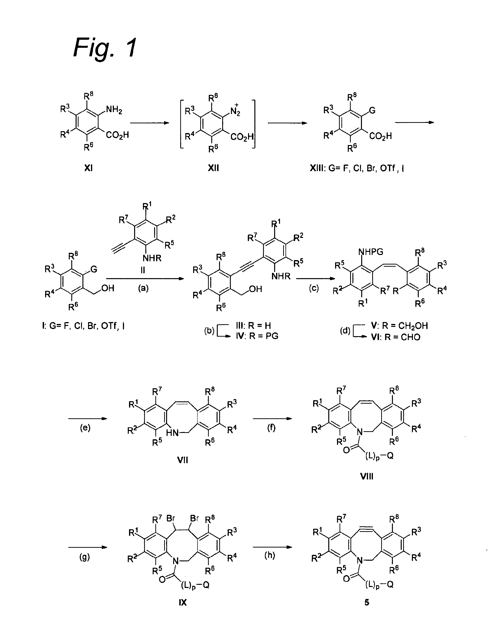 Substituted azadibenzocyclooctyne compounds and their use in metal-free click reactions