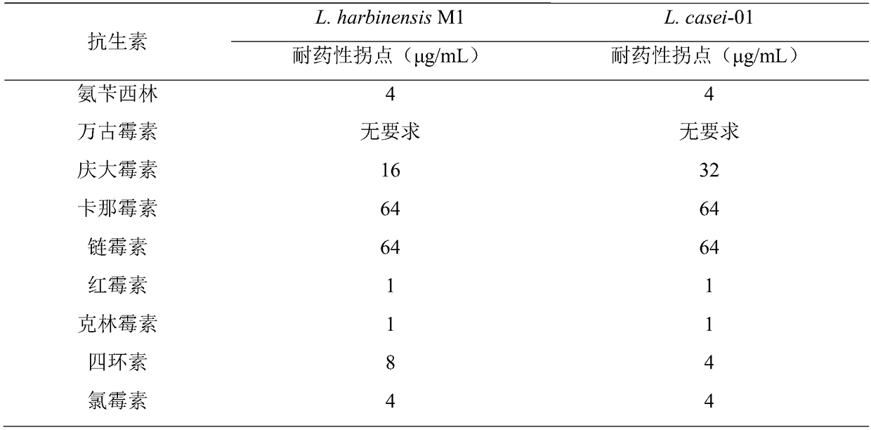 Lactobacillus harbinensis and application thereof