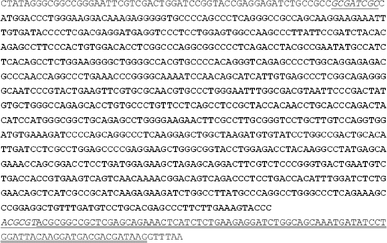 Anti ERCC1 monoclonal antibody 2E12 and application