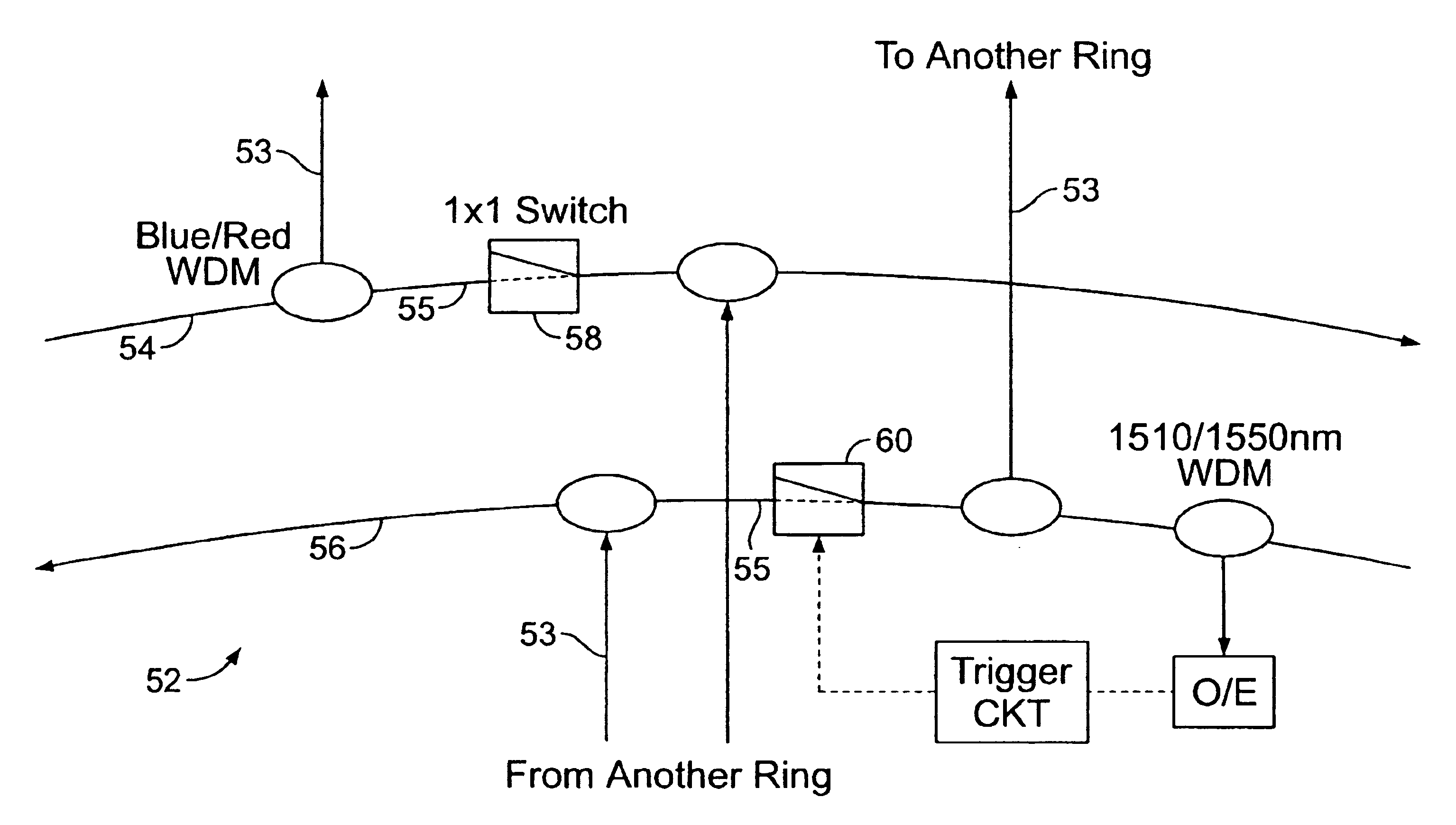 Interconnected broadcast and select optical networks with shared wavelengths