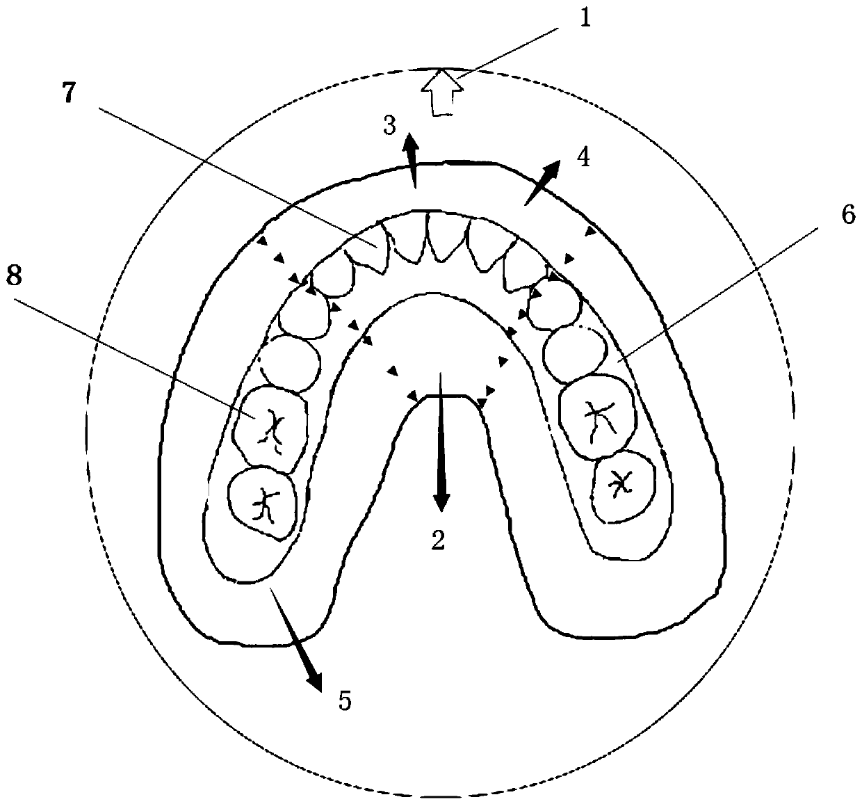 Partitioned dental membrane and manufacturing method thereof