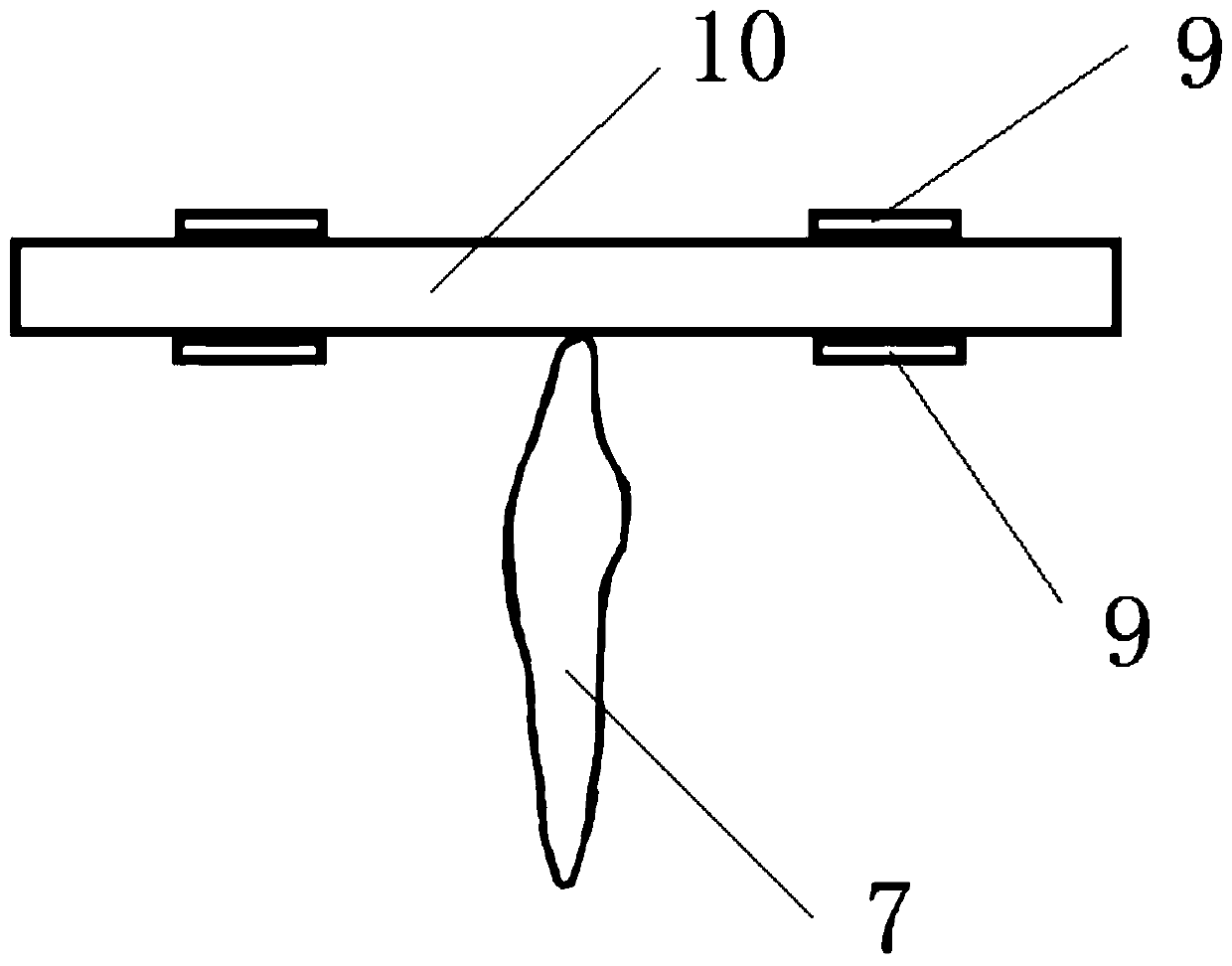 Partitioned dental membrane and manufacturing method thereof