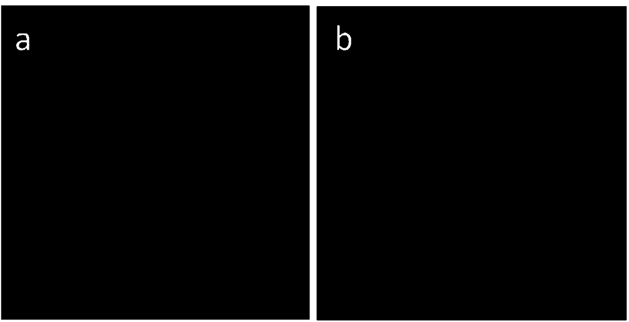 Microplastic labeled by long-persistence luminescent nano particles, preparation method and application