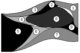 Tool path forming method based on curved surface morphology and curved surface dynamics of machined workpiece