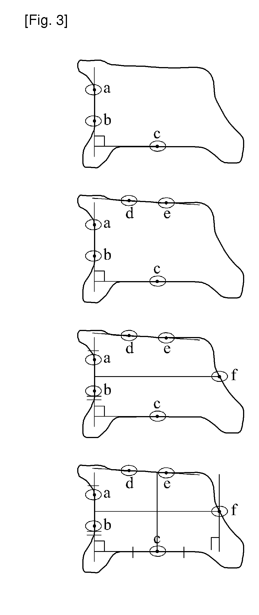 Apparatus and method for assessing rotational bone kinematics