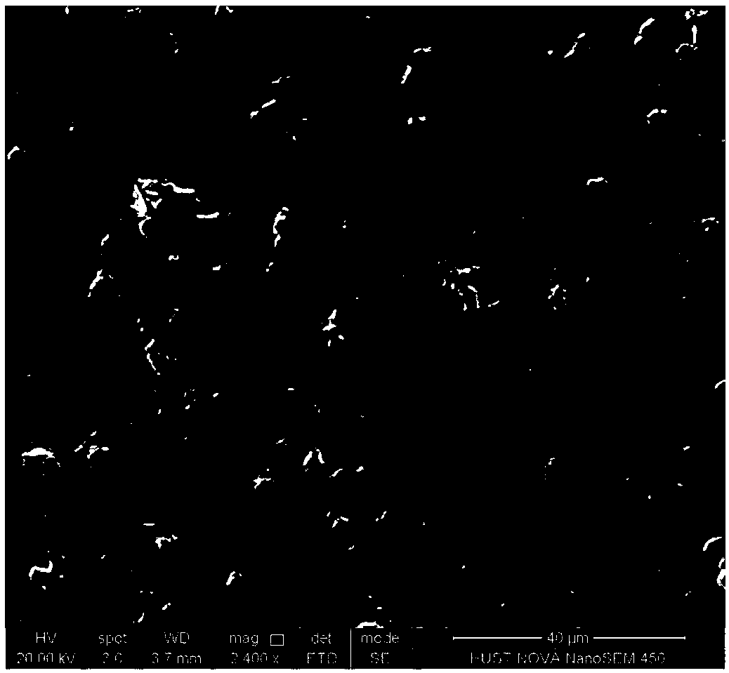 Novel lithium ion conduction oxide solid electrolyte and method for preparing same