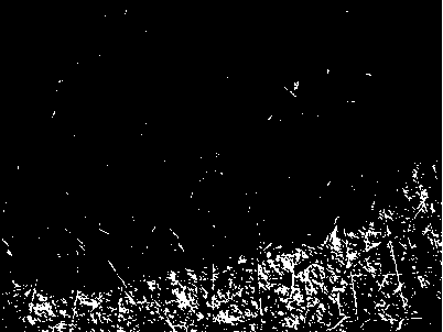 Uniform grid positioning seed sowing method based on crop ecology experiment