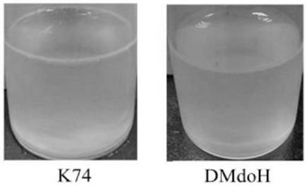 Polysaccharogenic metastase MDOH gene and its application