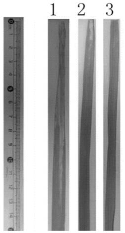 Polysaccharogenic metastase MDOH gene and its application