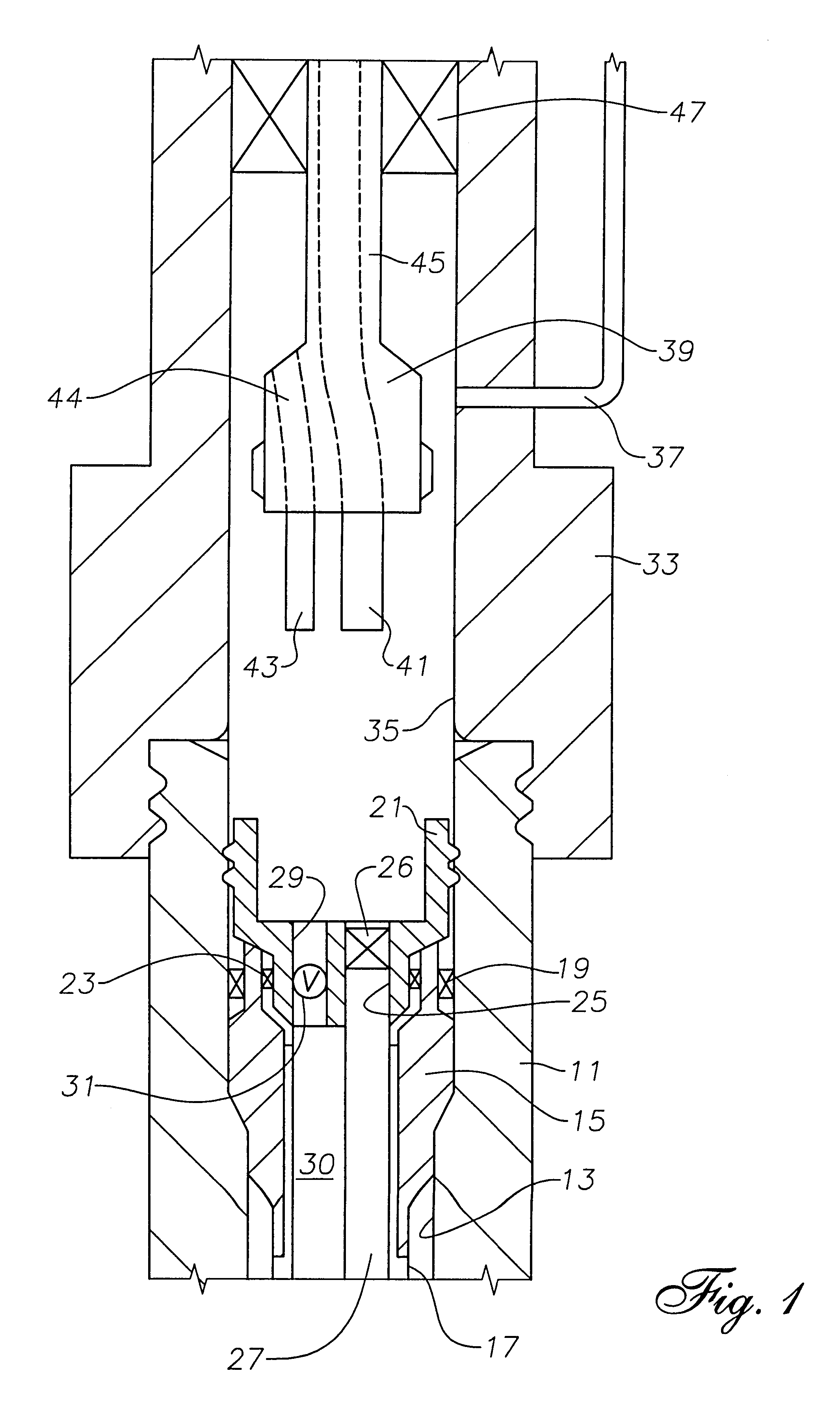 Annulus check valve with tubing plug back-up