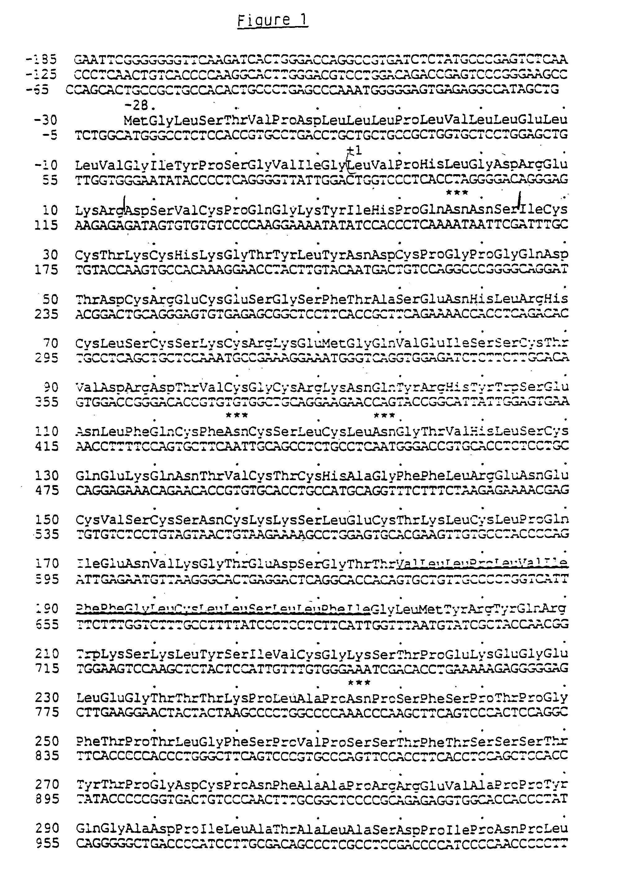 Human TNF receptor fusion protein