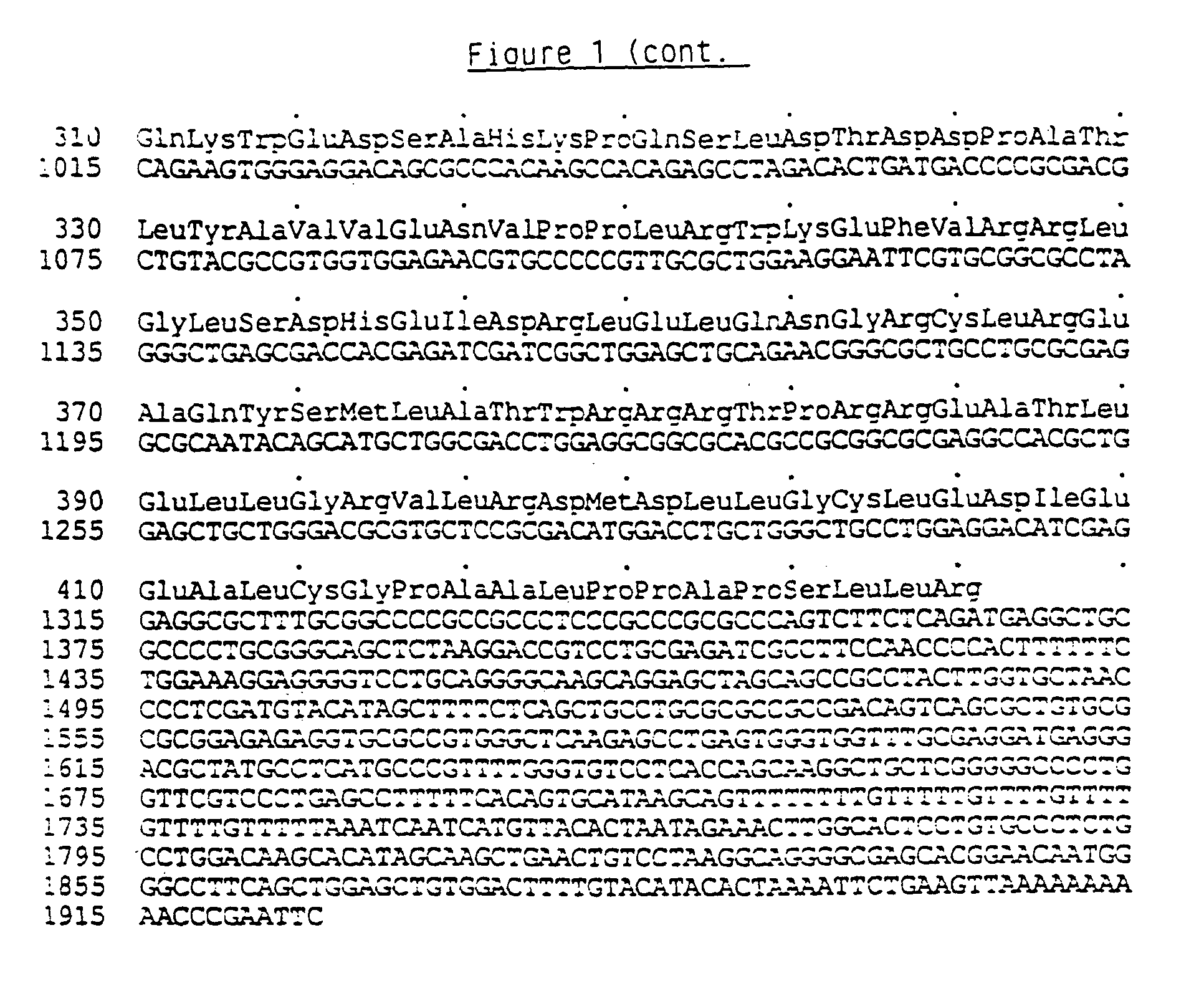 Human TNF receptor fusion protein