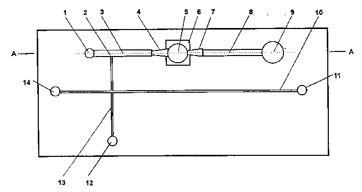 Integrated mini non-valve pump type capillary electrophoresis chip