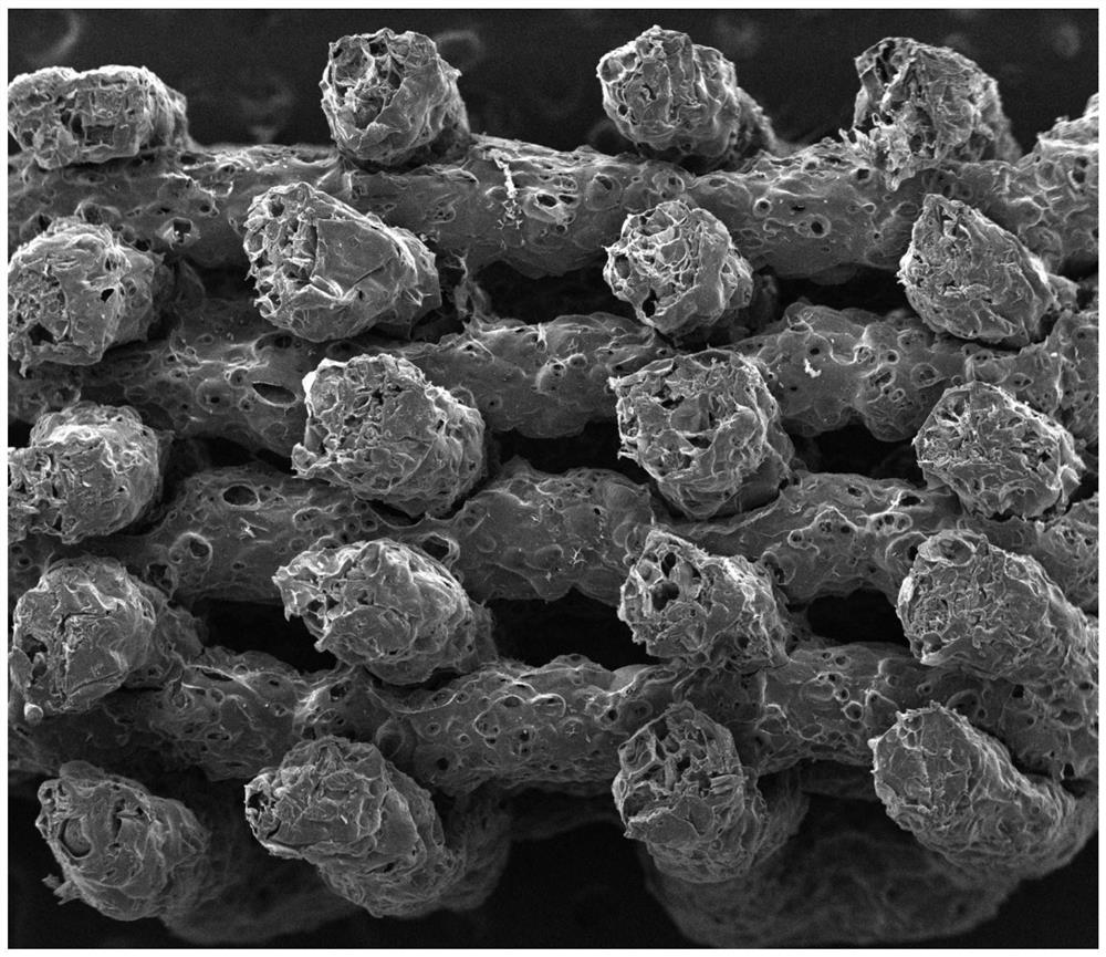 A sodium alginate-chitosan polyion complex hydrogel and its 3D printing preparation method