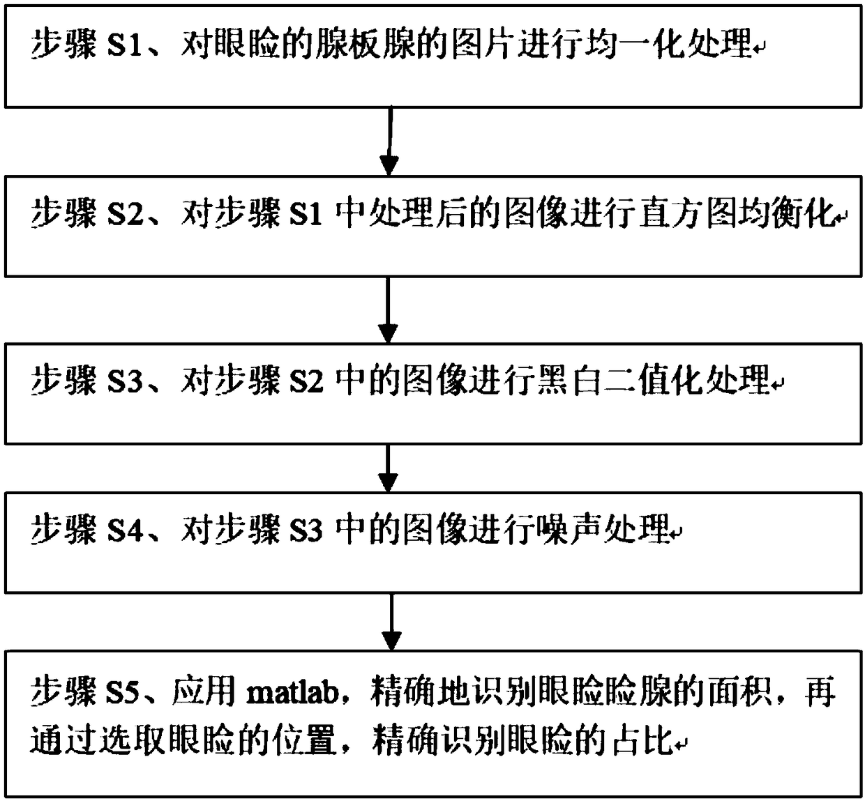 A method for quantitatively analyzing the shape and area of meibomian gland with MATLAB