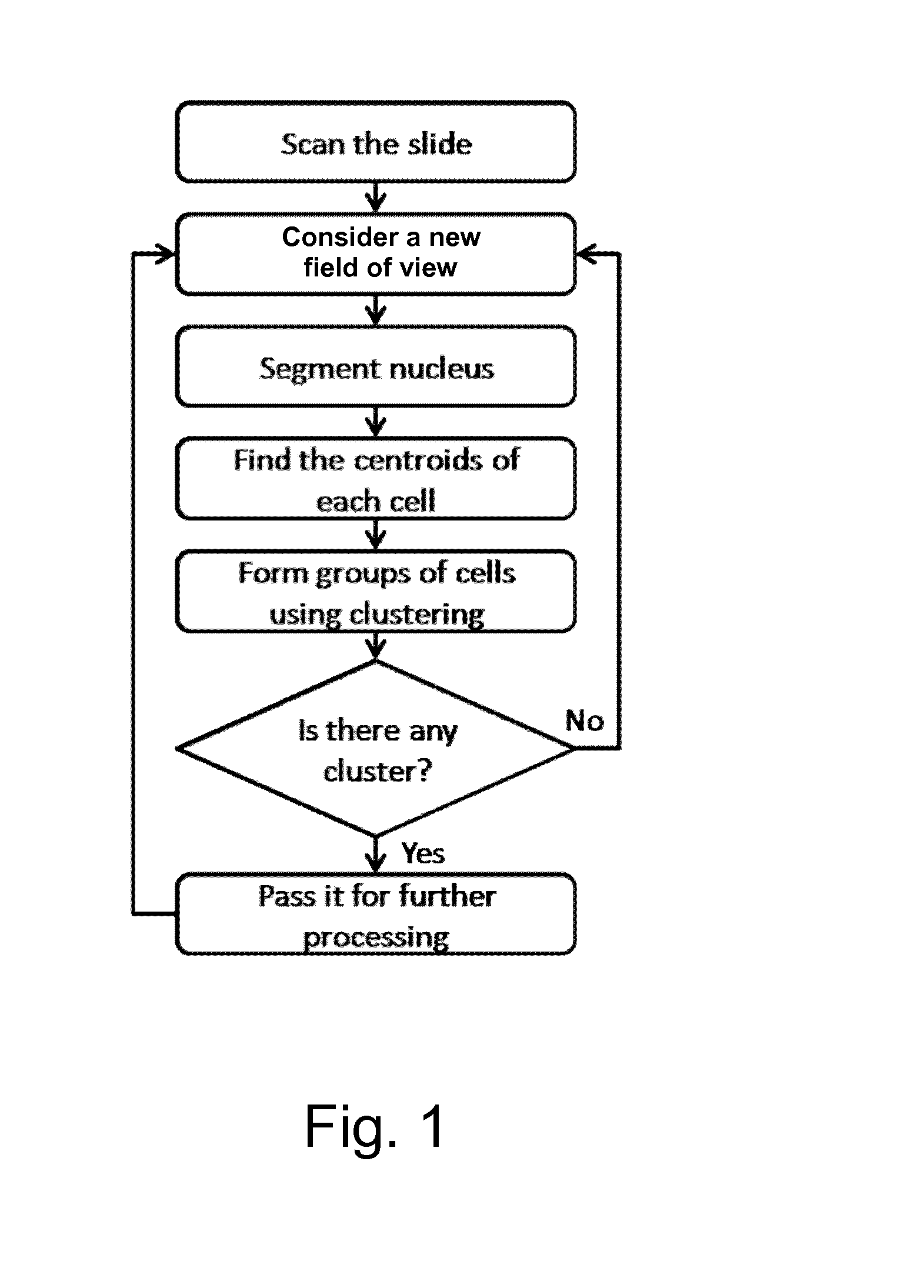 System and method for the detection of abnormalities in a biological sample