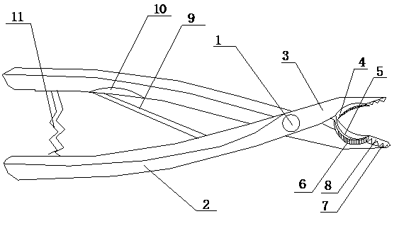 Improved novel dental forceps