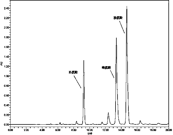 Method for analyzing protein adulteration in dairy products