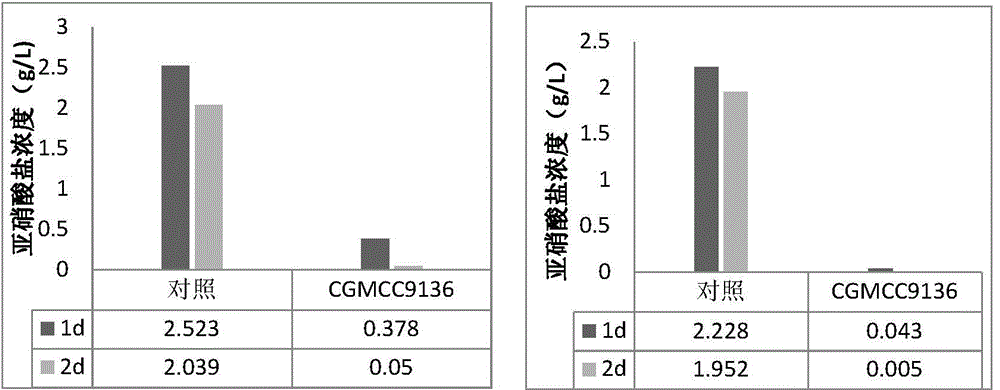 Photosynthetic bacteria microbial ecosystem for aquiculture and application thereof