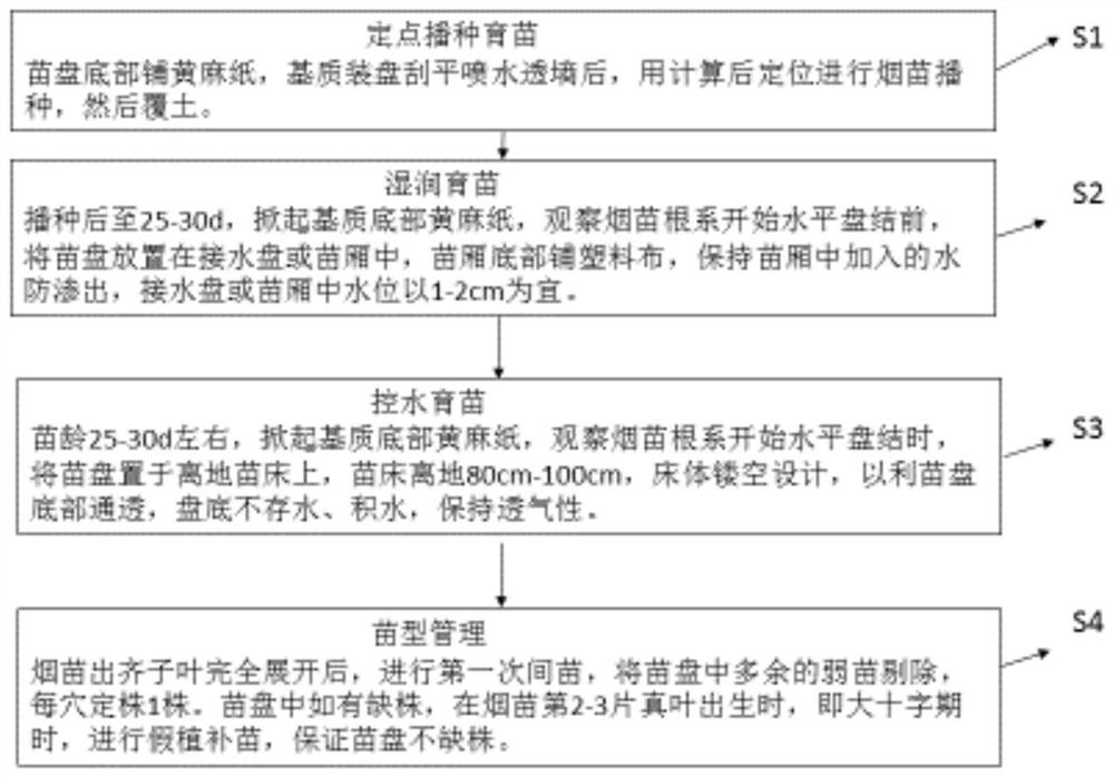 Two-section fixed-point and fixed-plant blanket type tobacco seedling raising method