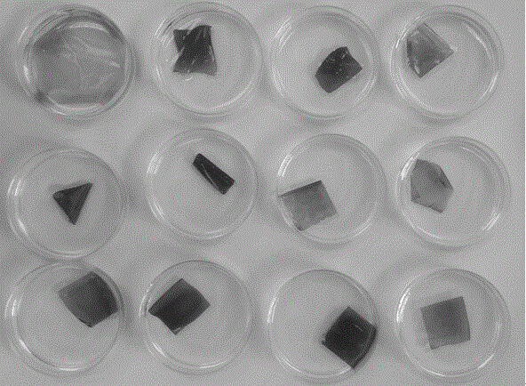 Method for preparing chitosan and gelatin composite membrane based on anthocyanidin