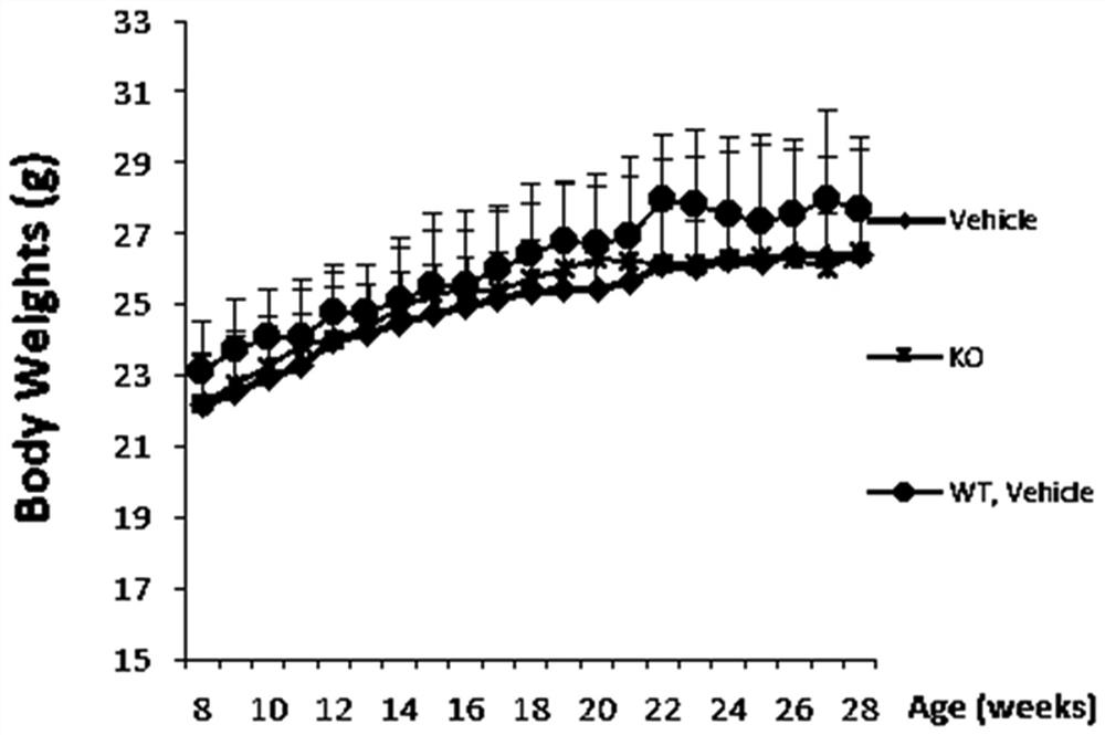 Angelica gigas Nakai extract as well as preparation method and application thereof