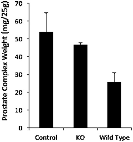 Angelica gigas Nakai extract as well as preparation method and application thereof