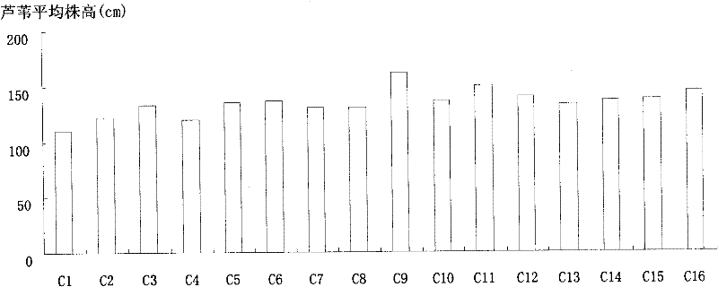 Method for promoting rejuvenation of littoral saline and alkaline wetland